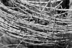 Stacheldraht-1