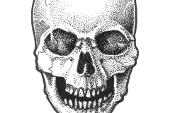 DWM-Skull